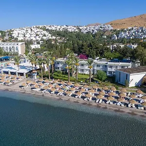 Ladonia Mio Mare Akyarlar