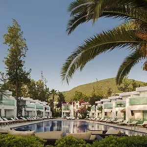 Voyage Torba